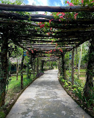A flower-covered walkway under wooden pergolas at Almat Farms, Abuja